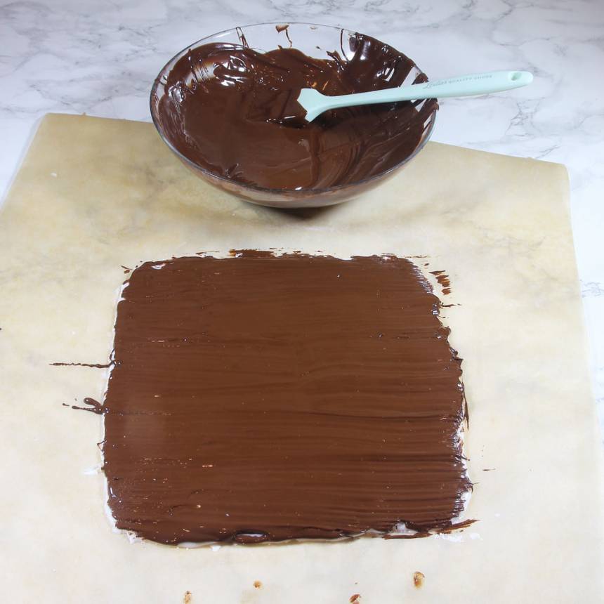 3. Garnering: Pensla smält choklad ovanpå mintplattan. Ställ den i kylen för att stelna. Skär kakan i rutor (låt den stå framme en stund i rumstemperatur innan så chokladen inte spricker). Förvara bitarna i en burk med lock i kylen. 